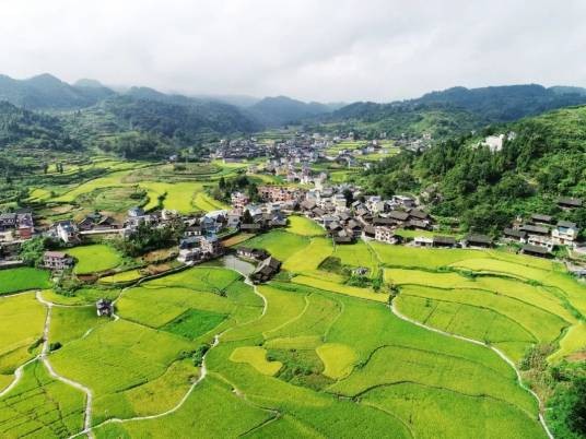 农村(从事农业生产者聚居的地方)