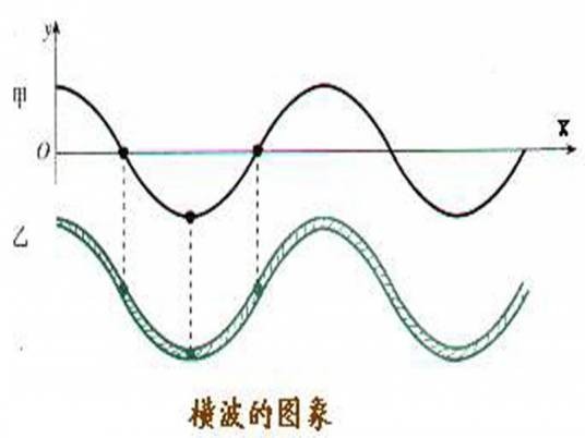 横波（物理名词）