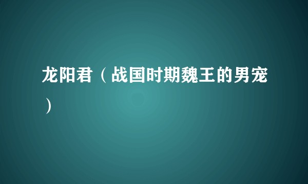 龙阳君（战国时期魏王的男宠）