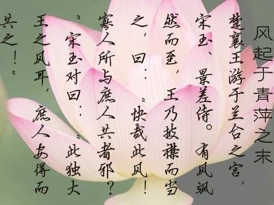 风起于青萍之末(成语)