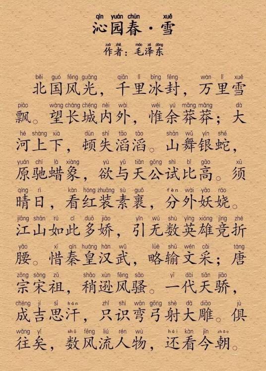 沁园春·雪（毛泽东创作的词）