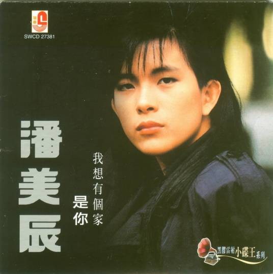 我想有个家（潘美辰演唱歌曲）