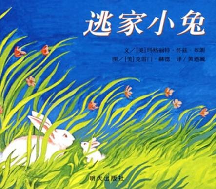 逃家小兔（2008年明天出版社出版的图书）