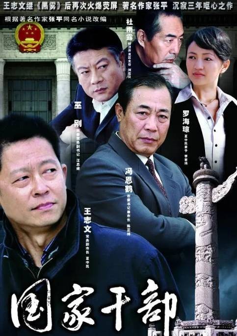 国家干部（2005年苏舟执导的剧情电视剧）