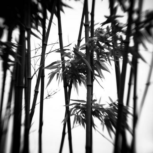 契阔（汉语词语）