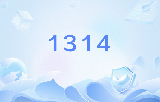 1314（网络用语）