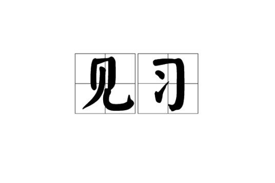 见习(汉语词语)