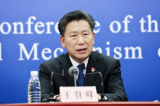 王登峰(教育部体育卫生与艺术教育司原司长)