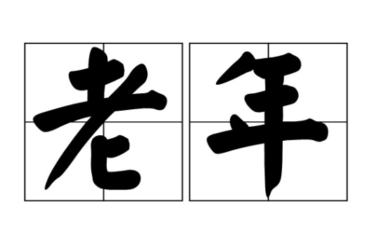 老年