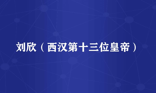 刘欣（西汉第十三位皇帝）