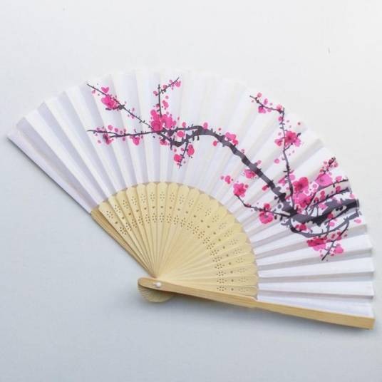 扇子（夏天引风用品）