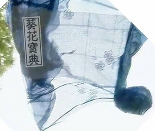 葵花宝典(《笑傲江湖》中的武功秘籍)