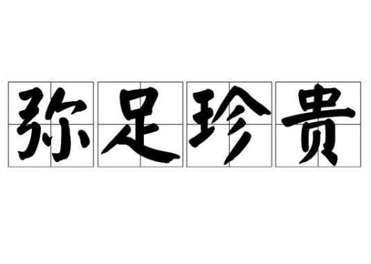 弥足珍贵(汉语词语)