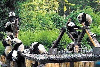 栖息地(动物们休息、睡眠的地方)
