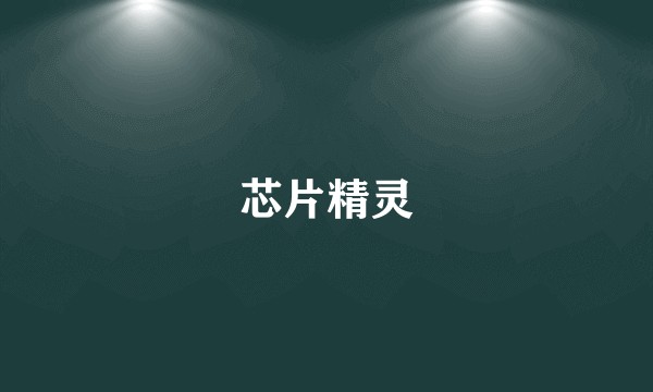 芯片精灵