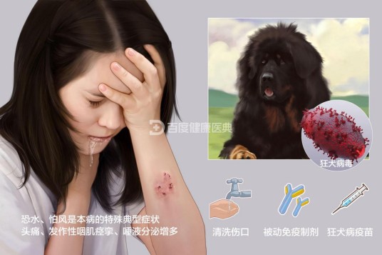 狂犬病（急性传染病）