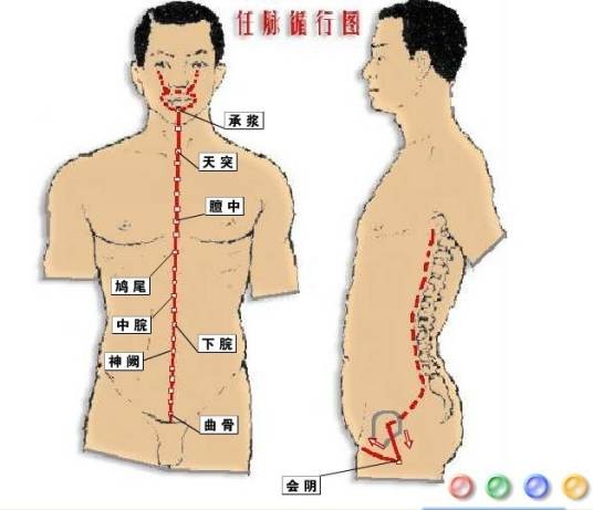 任脉(奇经八脉之一)