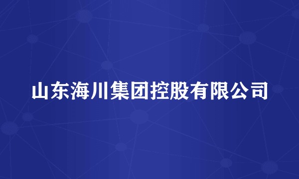 山东海川集团控股有限公司