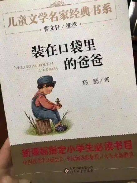 装在口袋里的爸爸（2009年春风文艺出版社出版的图书）