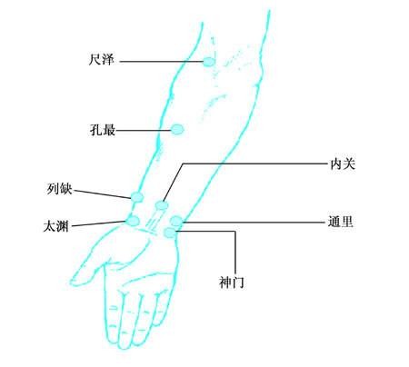 尺泽
