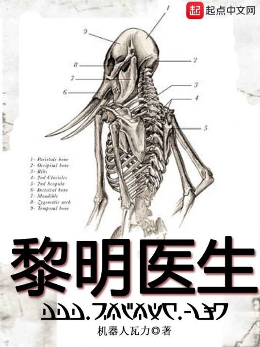 黎明医生(机器人瓦力创作的悬疑类网络小说)
