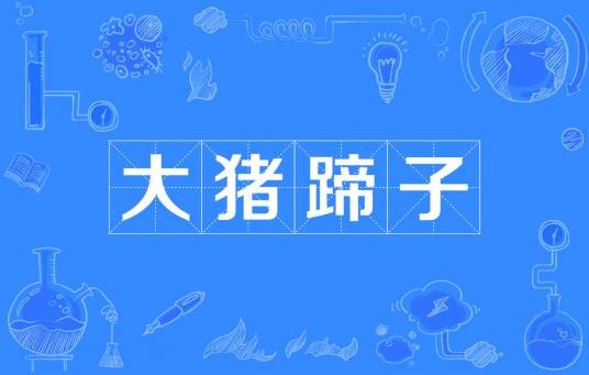 大猪蹄子