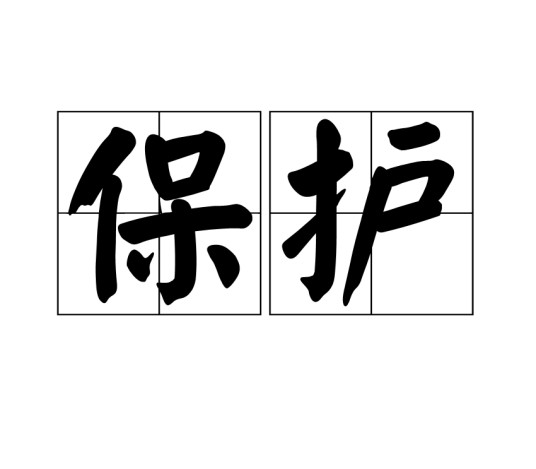 保护(汉语词语)
