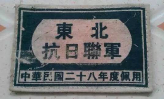 东北抗日联军(中国共产党直接领导的抗日武装力量)