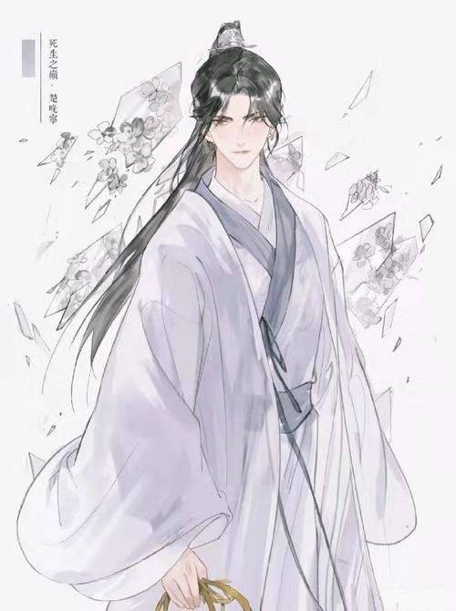 楚晚宁(小说《二哈和他的白猫师尊》及其衍生作品中的男主角之一)