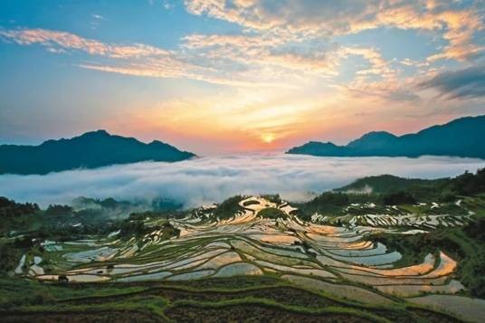 丽水市云和梯田景区