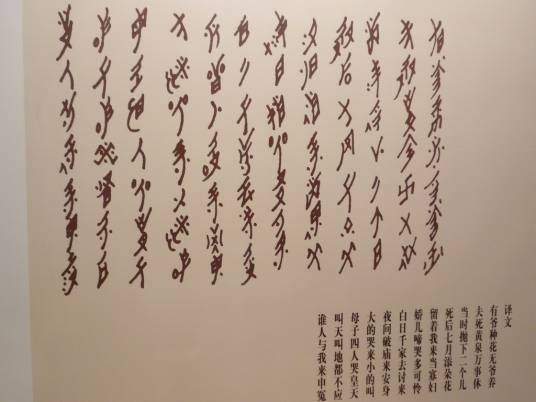 女书(湖南江永女书专用的汉语方言音节表音文字)