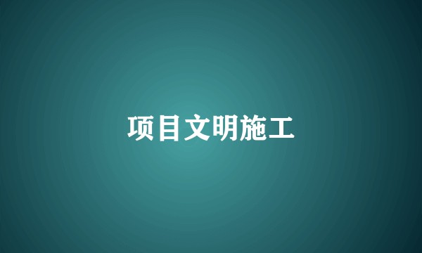 项目文明施工