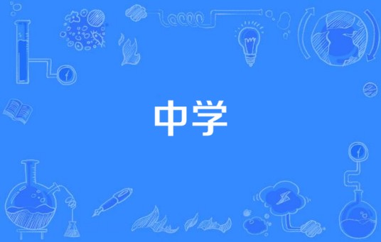 中学（中等教育组织）