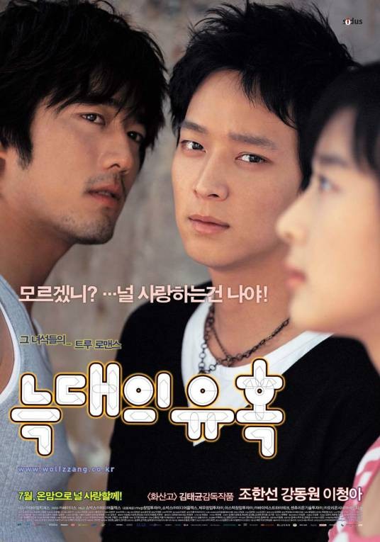 狼的诱惑（韩国2004年姜栋元和李清娥主演爱情电影）