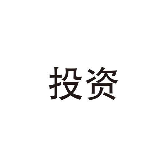 投资（货币转化为资本的过程）