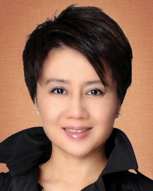 梁安琪(澳门博彩控股有限公司联席主席、澳门立法会议员)