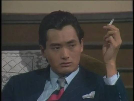许文强(电视剧《上海滩》男主角)