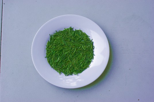 纳溪特早茶