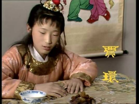 贾环（小说《红楼梦》中人物）