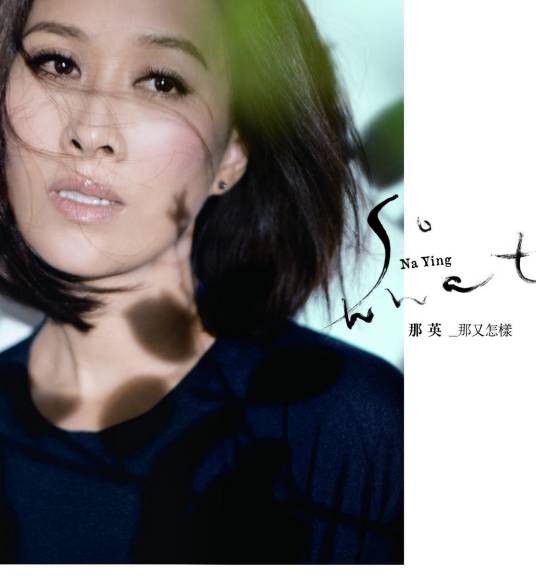 长镜头（2011年那英演唱的歌曲）