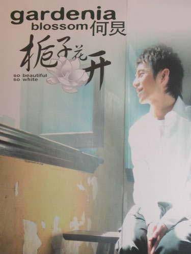 栀子花开（2004年何炅演唱的歌曲）