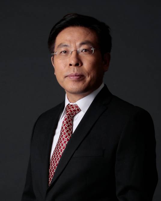 刘辉(紫光集团战略咨询委员会主任委员)