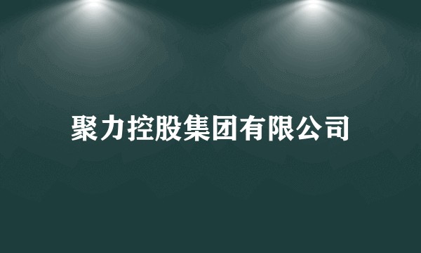 聚力控股集团有限公司