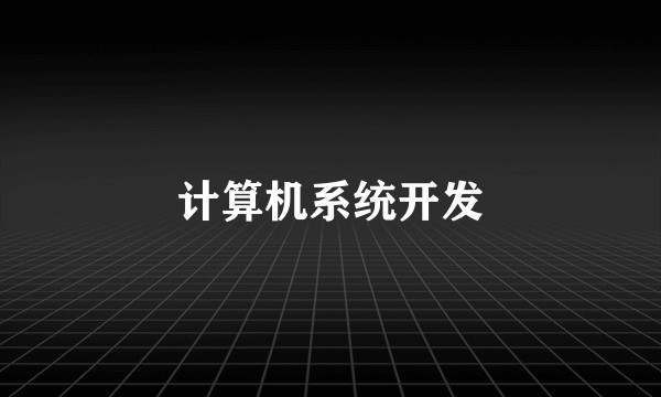 计算机系统开发