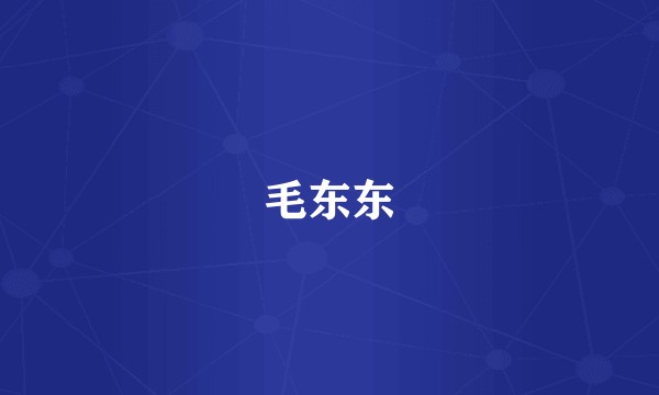毛东东