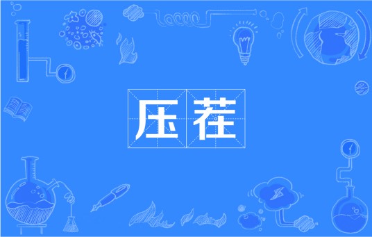 压茬（十九大报告中提到的词）