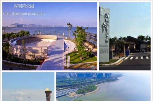 深圳湾公园