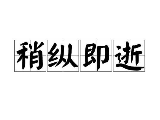 稍纵即逝（汉语成语）