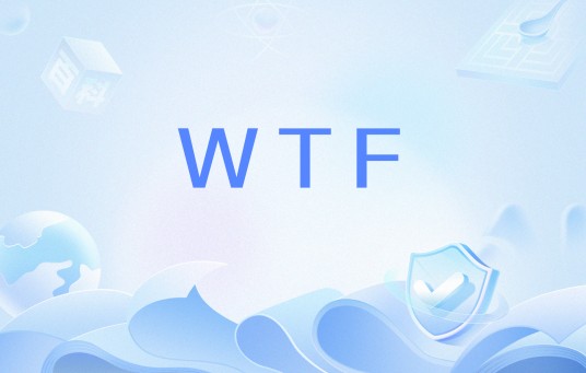 WTF(网络用语)