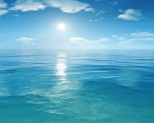 海水（海中或来自海中的水）
